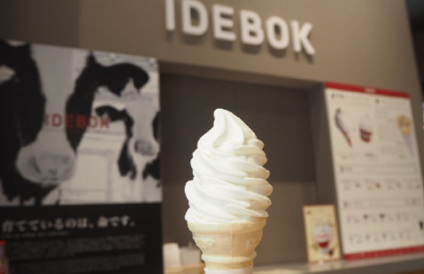 IDEBOK